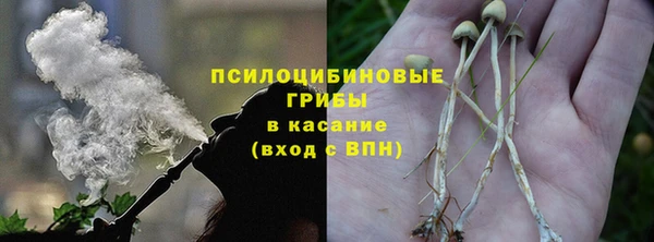 MESCALINE Богданович